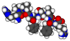 Molécula de la bradiquinina